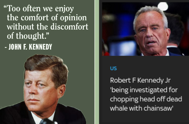 On the left is a historical picture of President John F. Kennedy with the quotation "Too often we enjoy the comfort of opinion without the discomfort of thought."

On the right is a modern picture of Robert F. Kennedy Jr (the son of JFK's brother RFK), with the headline "Robert F Kennedy Jr being investigated for chopping head off dead whale with chainsaw". 