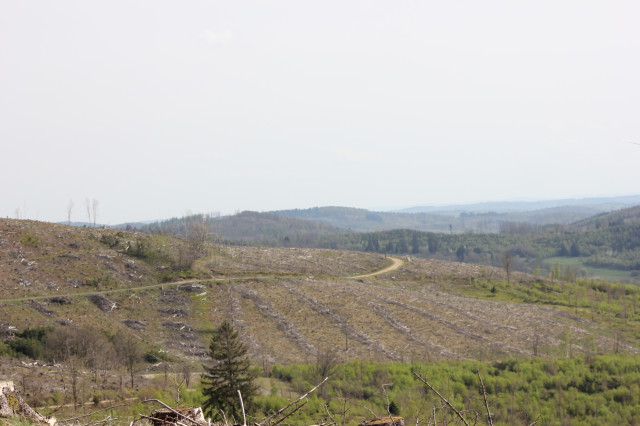 Viele 100 Km³ sind zerstört, und werden bei den Bedingungen ,die sich ja nicht positiv Verändern, keinesfalls wieder Aufbauen lassen!