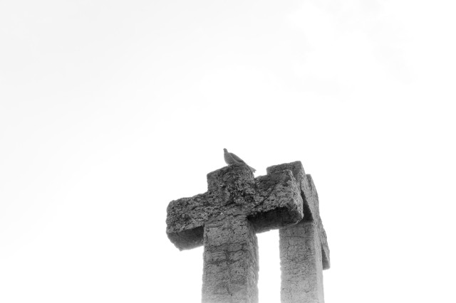 Fotografía en blanco y negro donde se ven dos cruces de piedra en la parte inferior con una paloma sobre una de ellas. El fondo es blanco de luz en clave alta.