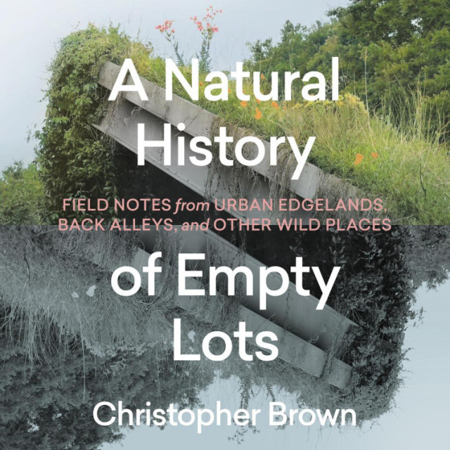 The Hachette cover for Christopher Brown's 'Natural History of Empty Lots.'