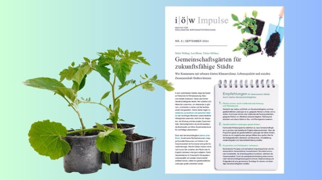 IÖW Impulse Nummer 8: „Gemeinschaftsgärten für zukunftsfähige Städte – Wie Kommunen mit urbanen Gärten Klimaresilienz, Lebensqualität und sozialen Zusammenhalt fördern können“