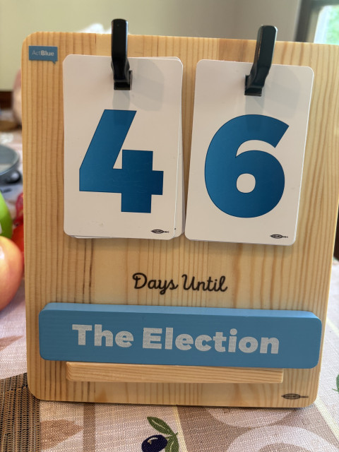 A wooden countdown calendar indicates 46 days until the election.