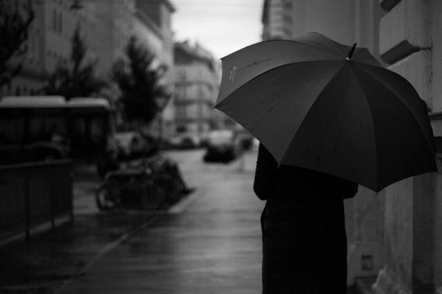 A black and white photo of a person from the back holding an umbrella on the streets of Vienna