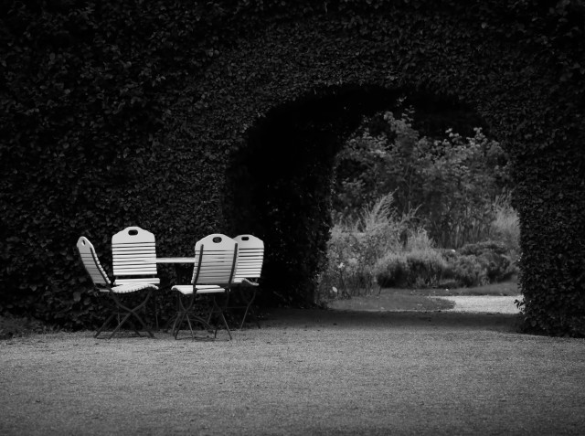 Schwarz-weiß Foto einer Gartenszene, den Hintergrund füllt eine große dunkle Hecke, durch die Hecke auf der rechten Seite führt ein bogenförmiger Durchgang. Links neben dem Durchgang steht ein Tisch mit vier Gartenstühlen.