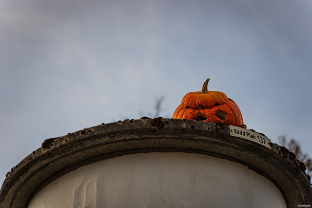 Man sieht den oberen Teil einer Litfaßsäule vor grauem Himmel. Auf der Litfaßsäule liegt ein verschrumpelter Halloween-Kürbis.