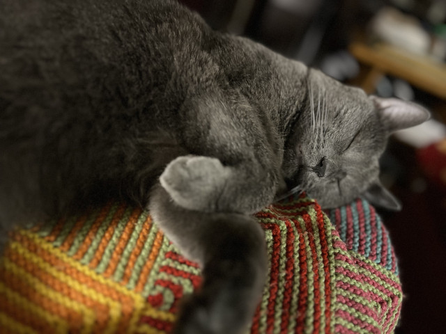 Grey cat blissfully passed out on his side, making bunny paws. He’s sleeping over a colourful knitted blanket.