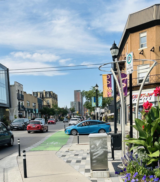 A city street scene featuring a mix of parked and moving cars, with a bicycle lane marked in green. The background includes multi-story buildings, storefronts, and decorative lampposts. Flowering plants are visible in the foreground.