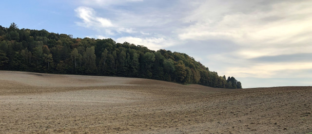 Landscape photograph of a brown and bare field, with a wavy relief, having the look of the surface of the Moon or the desert. Forest is bordering the field in the back, under a blue sky with white clouds.