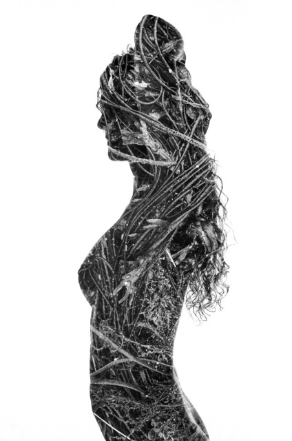 A naked woman is standing with her profile to camera, framed from her lower torso upwards. Her arms are folded abover her head. It's a silhouette shot, and her entire body is textured with kelp. Black and white. 