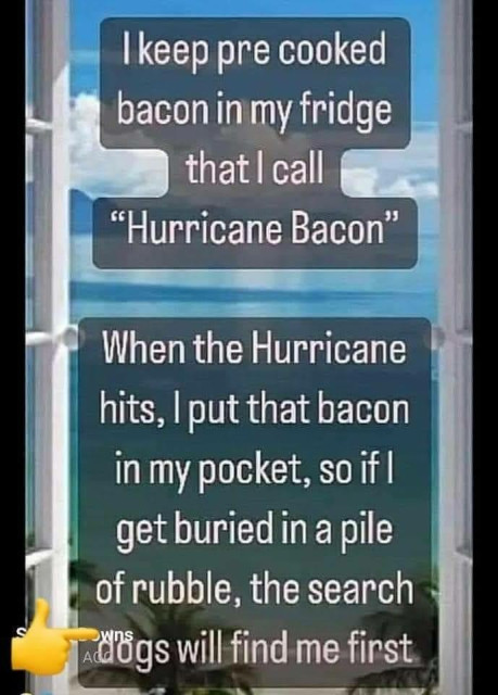  I keep pre-cooked bacon in my fridge that I call “Hurricane Bacon” 

When the hurricane hits, I put that bacon in my pocket, so if I get buried in a pile of rubble, the search dogs will find me first.