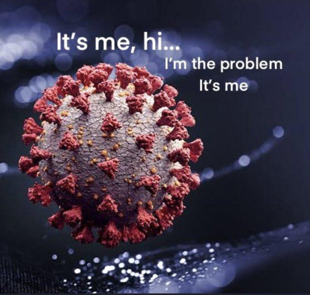 Image: meme showing a Covid-19 ball with its corona of red spikes. The Covid ball is saying: 
"It's me, hi... 
I'm the problem
It's me"