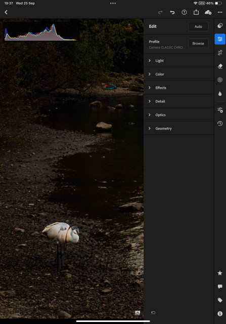 Screenshot of Lightroom panel with a photo of god knows what on a lakeside. Half a duck?