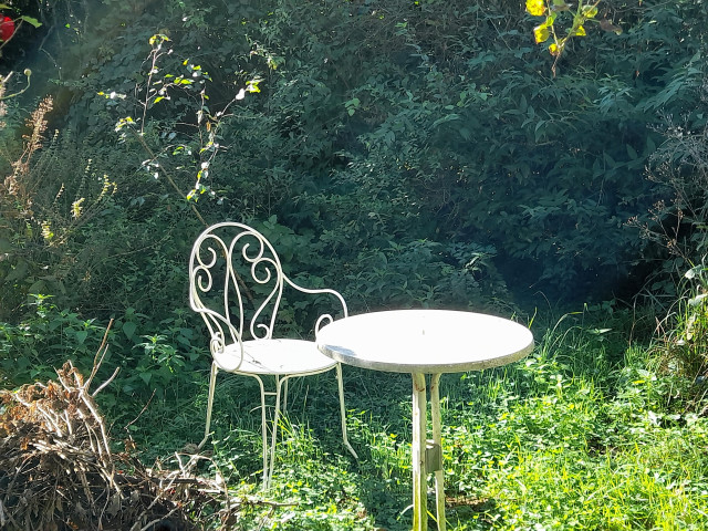 A small round table and an elegant wrought-iron chair, both white, in front of completely overgrown bushes in a meadow. The sun shines in this spot while the background is in deep shade.