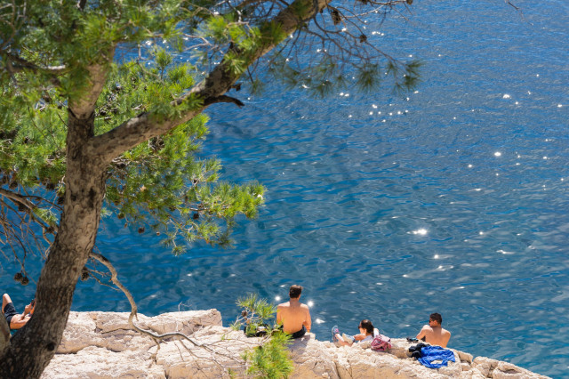 Three people are lounging on a rocky shore overlooking sparkling blue water. The tree's branches frame the top of the image, providing shade. Sunlight glitters on the calm sea surface. The scene captures a peaceful summer day by the water, with people relaxing on the natural rocky beach.