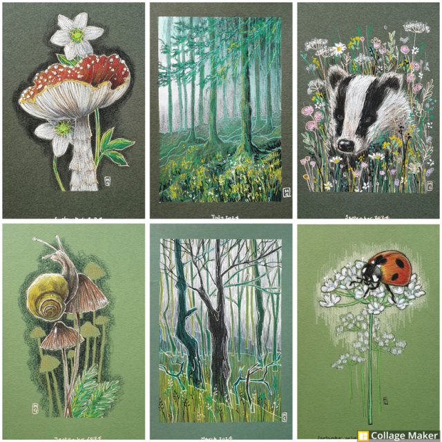 A photo collage of some of my drawings, all of these are on green paper.  A fly agaric mushroom, a forest landscape, a badger with flowers, a snail on a mushroom, a woodland illustration, a ladybird on a white flower. 