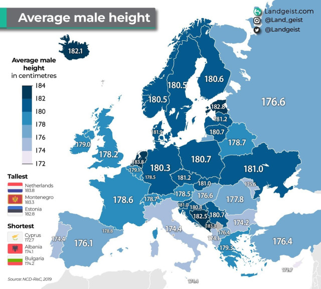 Average male height