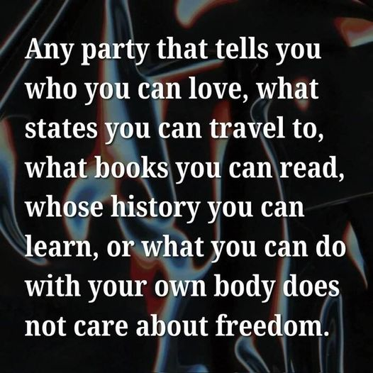 Any party that tells you who you can love, what states you can travel to, what books you can read, whose history you can learn, or what you can do with your own body does not care about freedom.