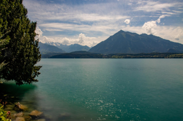 Thunersee Schweiz