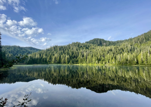 Still water of a mountain lake reflects the green trees of the shoreline and the clouds above.  Deer Lake  in the Olympic National Park, Sept 2024.