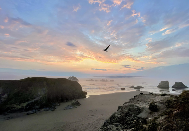 A serene beach scene at sunset, featuring rocky formations, soft sand, and a colorful sky with clouds. A bird is seen flying in the foreground, and mist can be observed over the water.