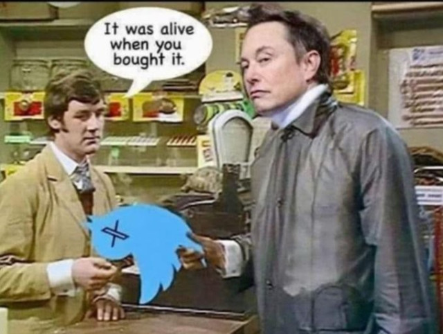 A still from the Dead Parrot sketch (Monthy Pyton): in a pet shop  Michael Palin is saying to Elon Musk (whose face has replaced John Cleese's) 'It was alive when you bought it' while Musk hold the Twitter logo (blue bird) with its eye an X & upside down, indicating it has passed.... it is a dead parrot.... etc.