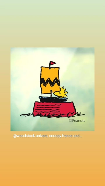 Woodstock segelt in Snoopys Hundenapf, das Segel hat das Zackenmuster von Charlie Browns Shirt