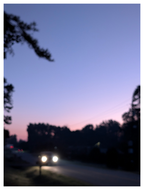 sunrise. out of focus. view along a two-land semi-rural road as a car approaches. a pine tree curtains the left top and across the street, a line of trees stretches into the distance. the sky is pale gray/blue with a bit of pink behind the trees.