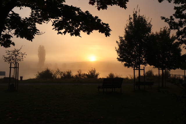 Blick durch ein kurzes Heckenstück direkt auf die aufgegangene Sonne im Nebel.
Matzework