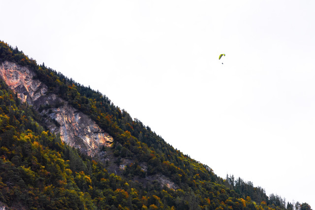 A forested mountain slope with exposed rocky cliffs occupies the left side of the image. The trees show autumn colors, with a mix of evergreens and deciduous trees in shades of green, yellow, and orange. Against the stark white sky in the upper right corner, a small bright green paraglider can be seen flying. The contrast between the rugged mountain terrain and the lone paraglider creates a sense of scale and adventure.