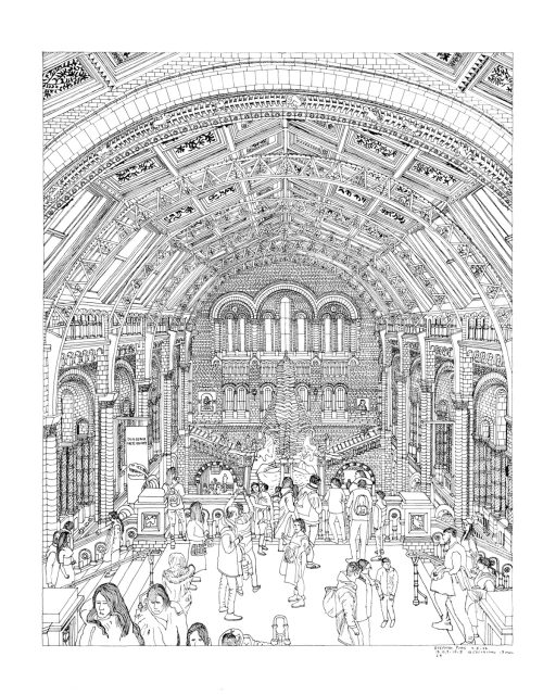 A drawing in black pen of a museum with a domed ceiling with detailed designs on the walls