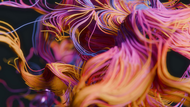 An abstract render of fine tubular structures, following a similar random flow and branching out here and there. The soothing colors change along the tubes from blue over purple, red, orange to a golden yellow.