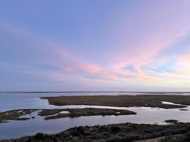 A serene landscape featuring calm waters and grassy wetlands under a pastel sunset sky. The scene includes patches of land surrounded by water, creating a peaceful, natural setting.