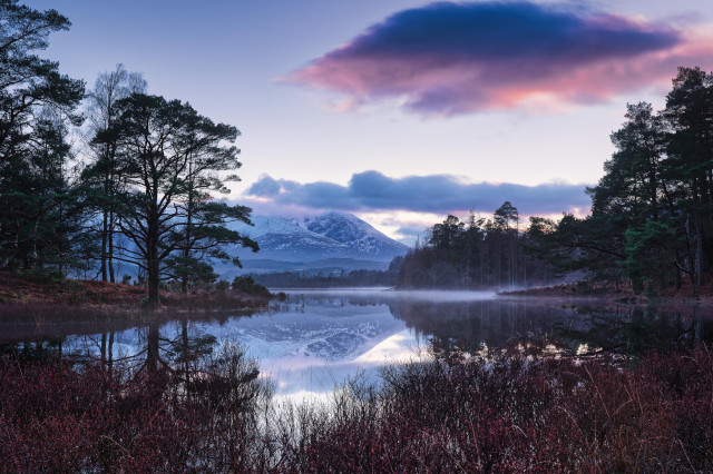 Ben Nevis reflecting in the shallows of Loch Lochy at dusk