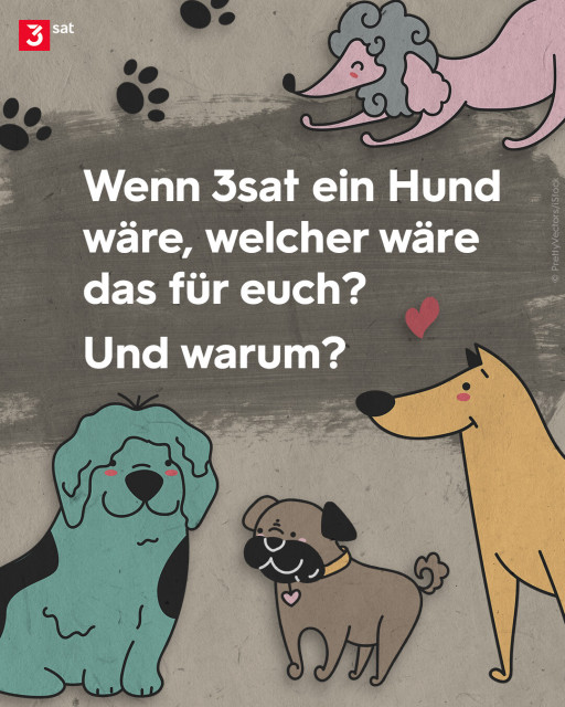 Illustration. Sie zeigt bunte Hunde aller Größen und Formen, die Rassezugehörigkeiten bestenfalls erahnen lassen. Frage auf dem Bild: Wenn 3sat ein Hund wäre, welcher wäre das für euch?