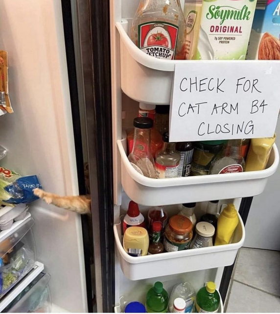 A refrigerator has the door open and all kinds of goodies. Near the bottom is an orange cat leg and paw reaching into a bag of lettuces. A hand-scrawled note taped on the inside shelves reads: CHECK FOR CAT ARM B4 CLOSING. 