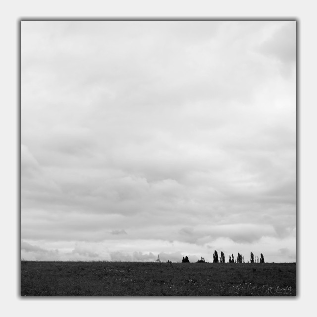 Square black and white photo of a meadow. The horizon is near to the bottom of the image and the sky is grey and cloudy. Behind the meadow the tops of a few trees and one high-voltage pylon are visible. 