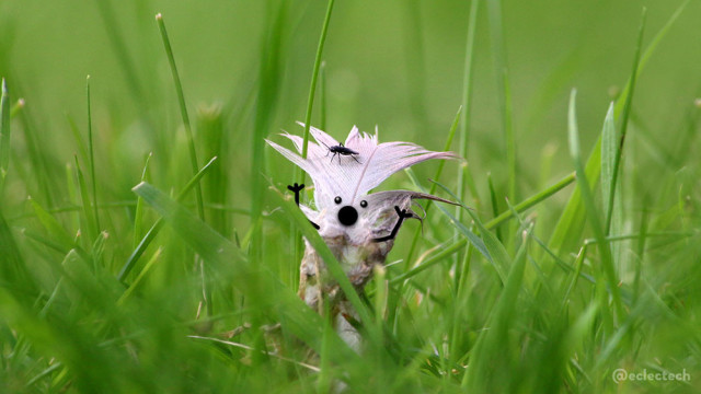 A photo of a white feather in a green lawn, taken from low down, with both the foreground and background blurred. In focus is the white feather and a small black flying bug on it. I have drawn upturned arms and a shocked face to the feather.