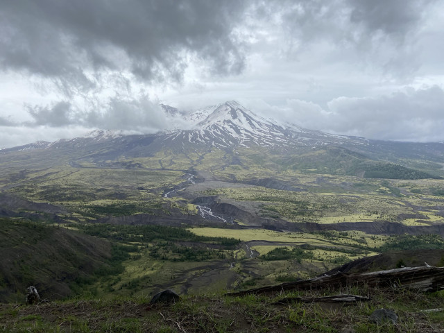 Mount Saint Helens seen from a distance and from an elevation. We are high enough that we see clouds in the foreground. The volcano has snow on it, while the valley below is green. The sky is gray and cloudy 