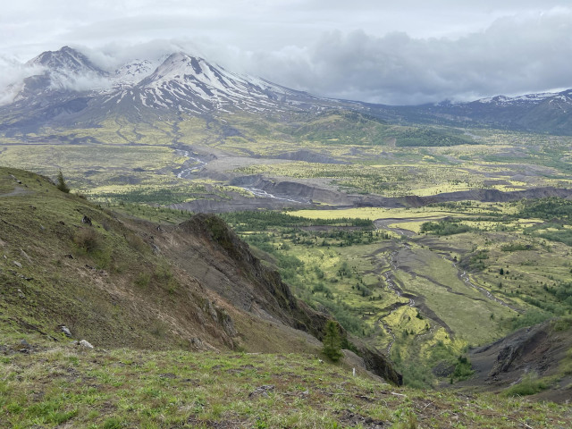 Another photo of mount Saint Helens, but in this one, the mountain is off to the left, because I wanted to focus on the valley, with streams cutting ravines through the landscape, and a mix of bright green new growth and dark green clusters of trees