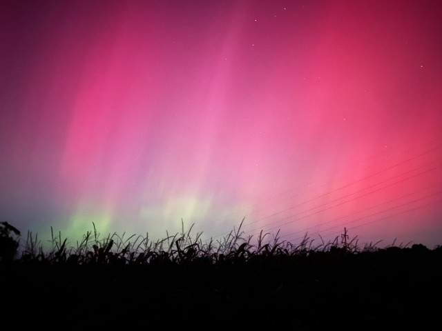 The northern lights came to Pennsylvania tonight. Streaks of glowing red and green light up the sky above the silhouette of a cornfield.