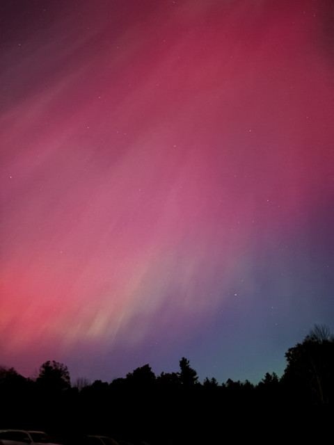 Reddish Northern Lights over silhouetted trees