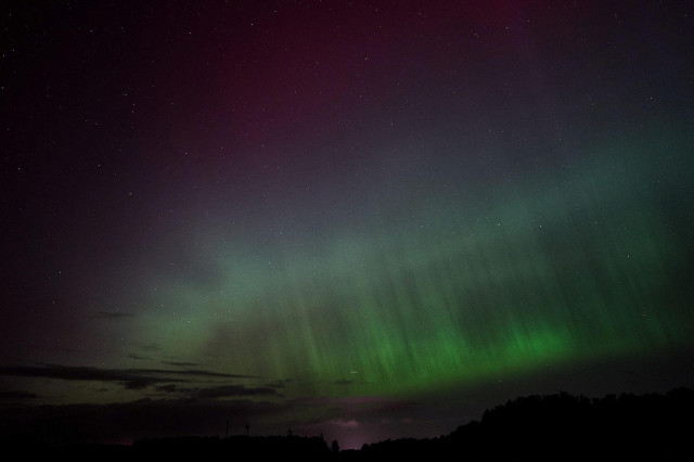 Aurora Borealis, mit einigen Bäumen als Silhouette. 