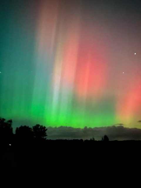 A vibrant display of the aurora borealis fills the sky, showcasing hues of green, red, and pink against a dark backdrop. Silhouettes of trees and low-lying clouds are visible at the bottom of the image.