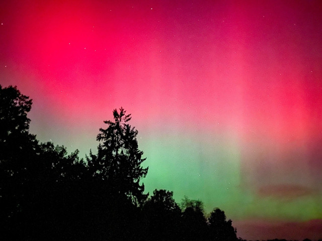 A vibrant aurora borealis displays shades of pink and green in the night sky, with dark silhouettes of trees in the foreground.