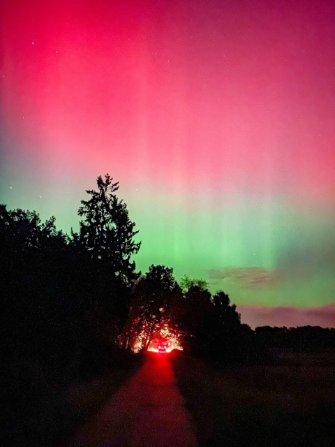 A vibrant aurora borealis displays shades of red and green in the night sky, with silhouettes of trees framing a pathway. A light source at the end of the path creates a glowing effect.