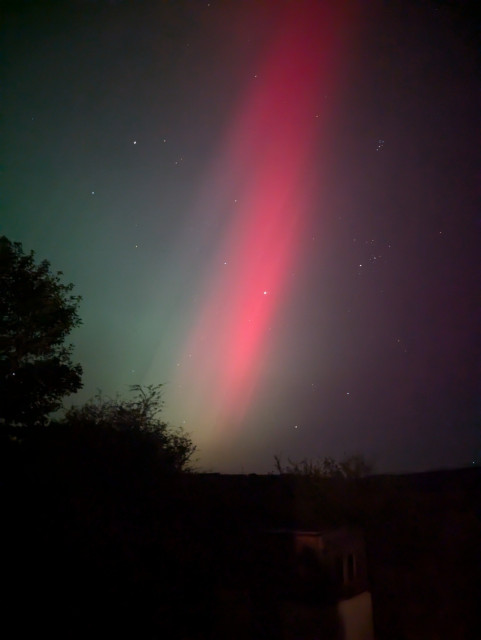 A picture of the night sky with stars and aurora visible, with some trees on the left, quadrant of the photo. There is a red coloured streak of light coming down from the top rightish side, down towards the middle at the bottom.