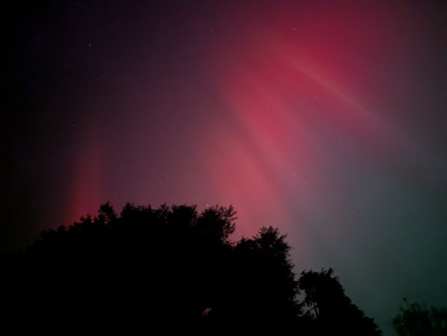 A photo of the night sky with stars and aurora visible. There are trees along the bottom of the picture. Beams of red coloured light are emanating from the top left hand corner, spreading out towards the right and bottom of the picture.