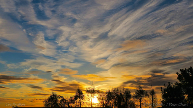 A photo taken through a window, of the sun rising behind a stand of trees. The clouds are streaky and wispy, and scattered across the lightening sky. The sun is very low, only just above the horizon, and is colouring the cloud with oranges and yellows.