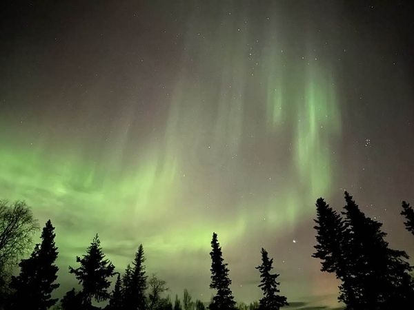 Northern Lights swirling in dark green and light green