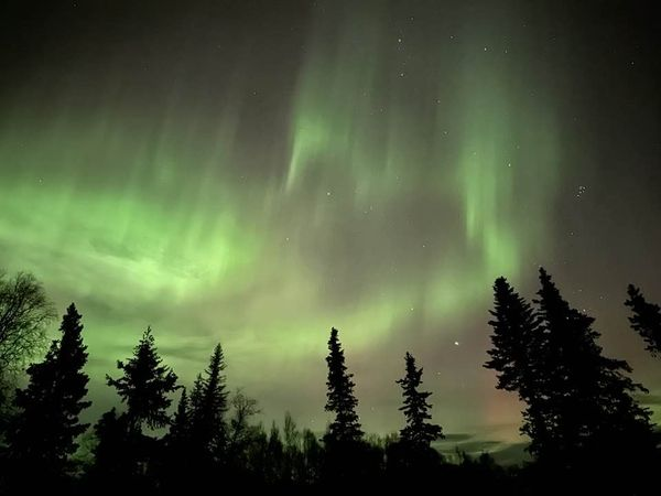 Northern Lights swirling in dark green and light green